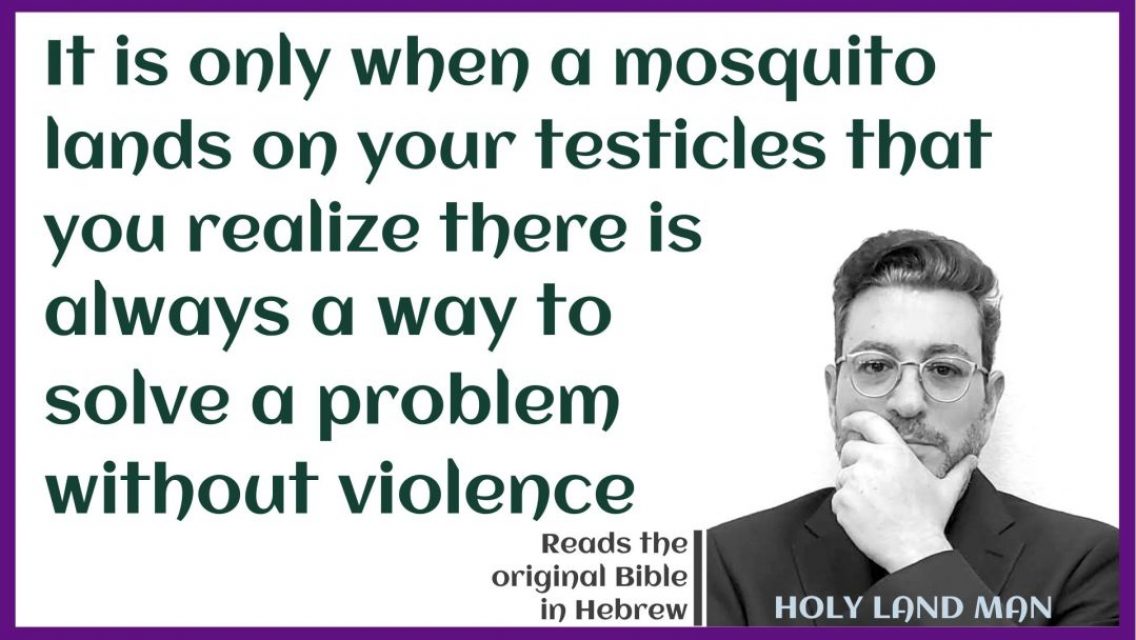 It-is-only-when-a-mosquito-lands-on-your-testicles-that-you-realize-there-is-always-a-way-to-solve-a-problem-without-violence